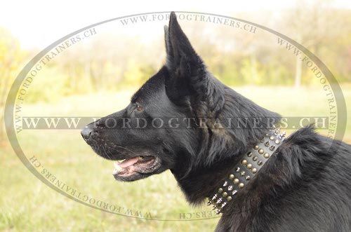 Handgemachtes Leder
Halsband fr Schferhund