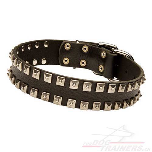 studded Leather
Dog Collar wide Buy