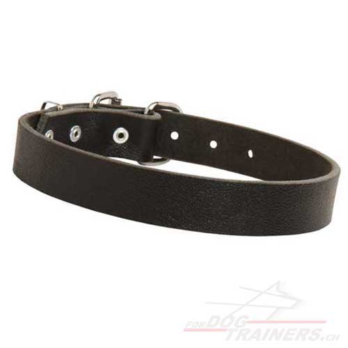 leder Hunde halsband klassisch schweiz