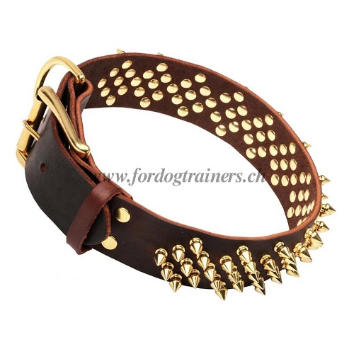 hundehalsband leder breit handgemacht messing spikes