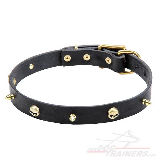 dnnes halsband totenkopf schweiz