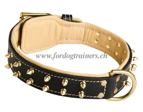 leder halsband nappa messing spikes schweiz