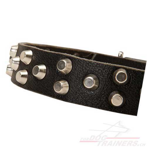 leder Hunde halsband mit verzierung