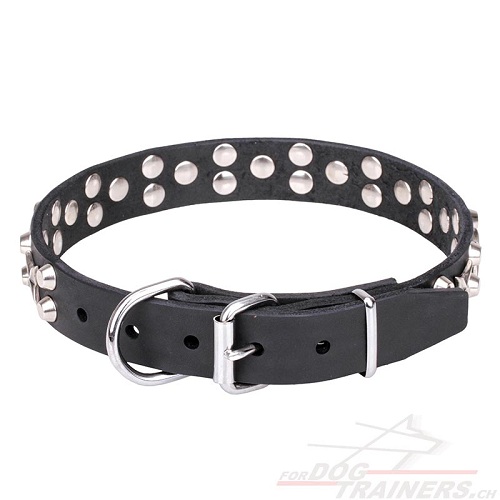 hundehalsband leder handgemacht mit
Sternen und kegeln