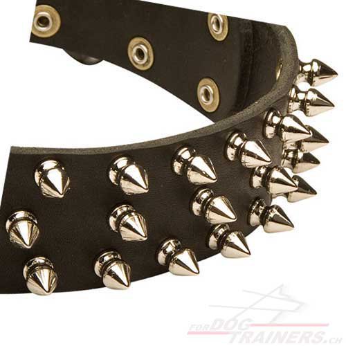 leder halsband spikes