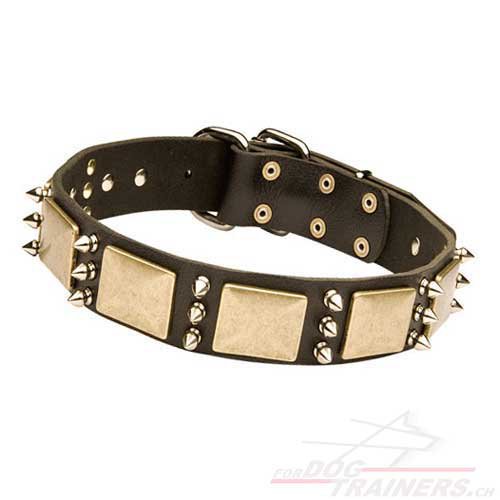Schferhund Halsband Leder mit Bronze-Platten und
Nickel-Spikes