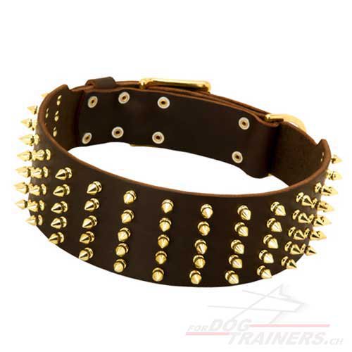 extra breit leder halsband spikes schweiz