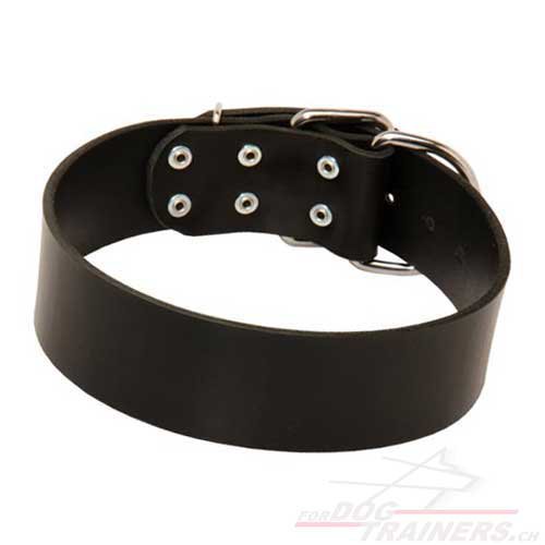extra breites leder Hunde halsband klassisch schweiz