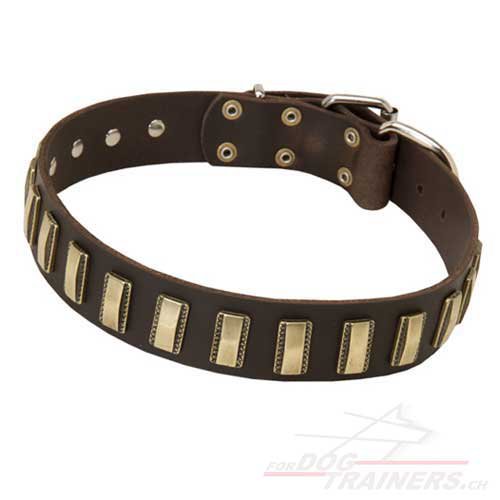 Leder Hundehalsband mit platten fr berlin
