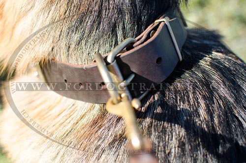 Edles Design Leder Hundehalsband fr Schferhund Schweiz