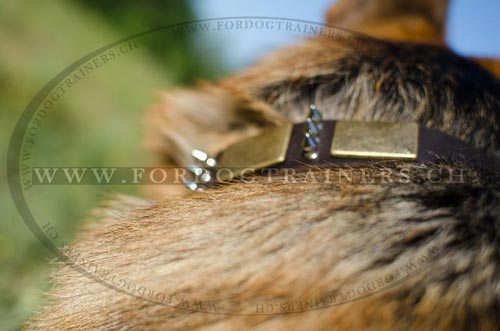 Leder Hundehalsband fr Schferhund, Lederhalsband mit
Bronze-Platten und Nickel-Spikes