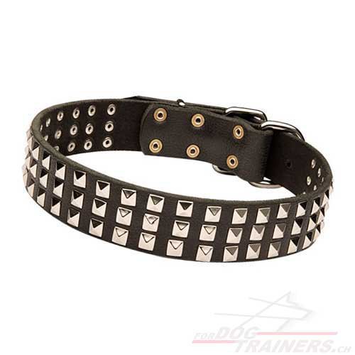 leder hunde halsband
nieten kaufen