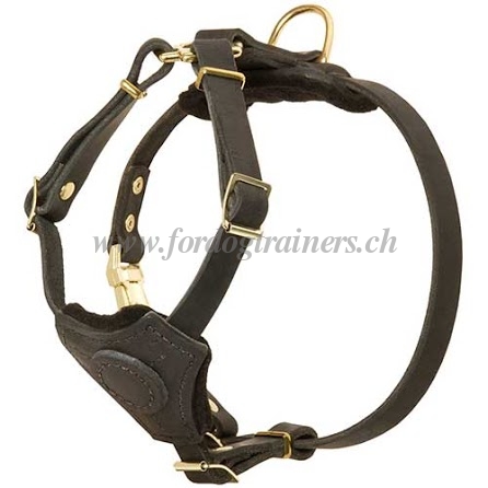 Leder Hundegeschirr fr kleine hunde 