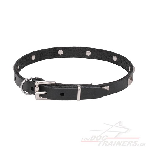 hundehalsband aus leder dnn
schweiz