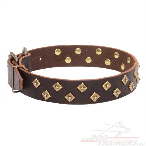 extra breites halsband leder handarbeit schweiz