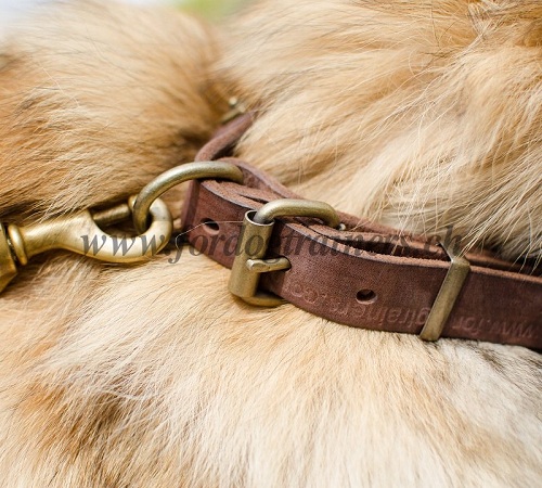 nietenhalsband Tervuren schweiz
