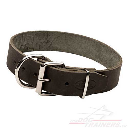 klassisches halsband schweiz kaufen