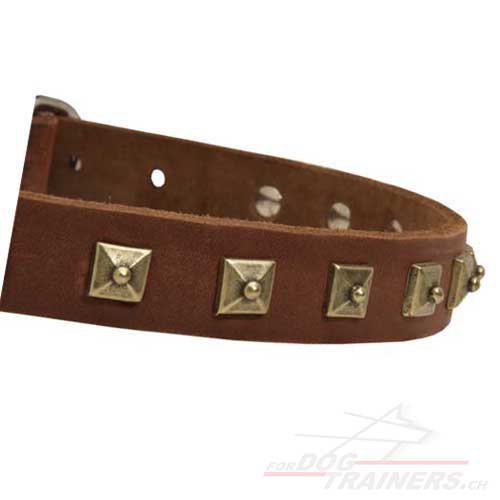 Leder Hundehalsband mit quadratischen Nieten fr
Schferhund
