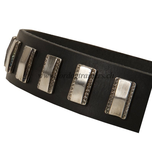 Leder Hundehalsband mit platten fr Schferhund bestellen