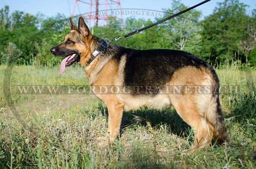 Neues Design Leder Hundehalsband fr Schferhund Schweiz