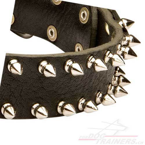 halsband echtes leder sterreich kaufen