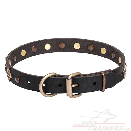 hundehalsband leder fordogtrainers
handgemacht mit bronzierten Sternen