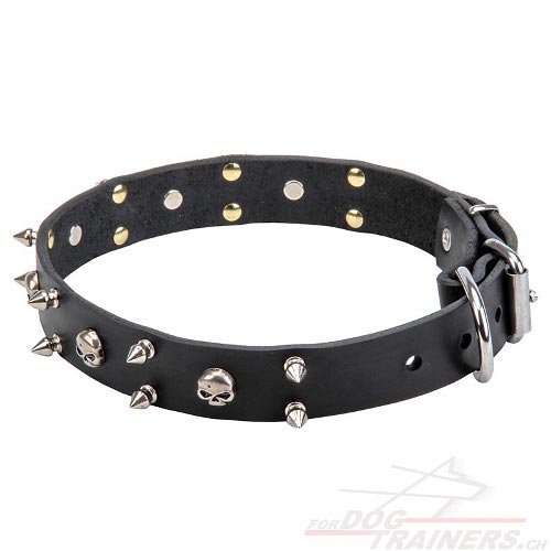 design halsband totenkopf schweiz