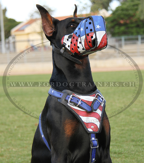 bemalter leder Hundemaulkorb, dobermann maulkorb leder