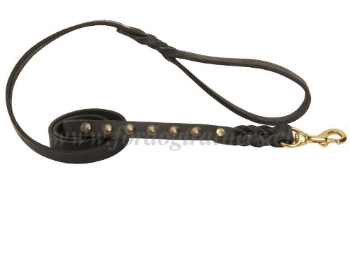leder hundeleine genietet kaufen