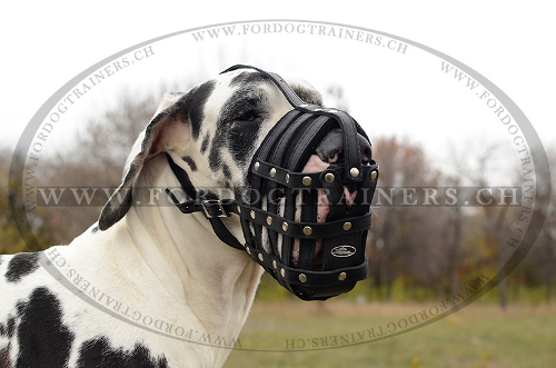 universeller beikorb fr deutsche dogge