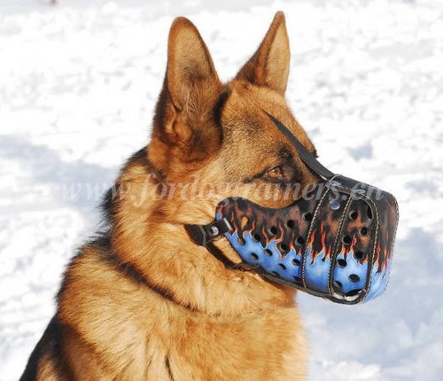 bemalter maulkorb hund fr
schferhunde blaue flamme