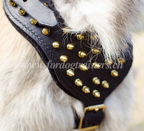 leder hunde geschirr belgischer schferhund