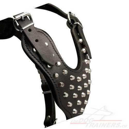 genietetes geschirr leder