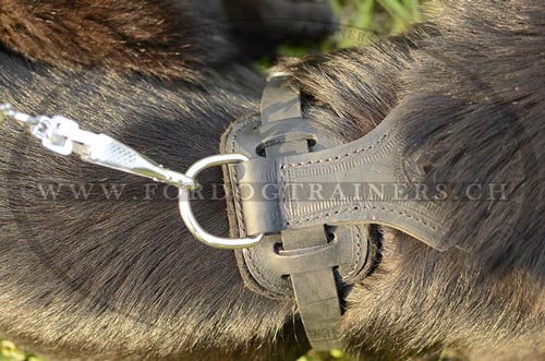 Schferhund Geschirr fr Auslufe bestellen