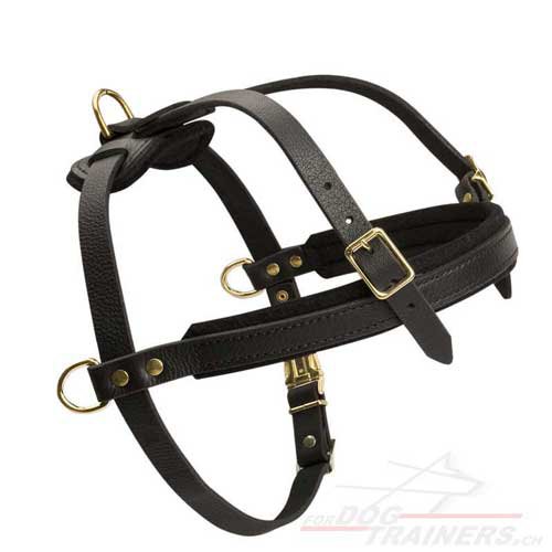 leather harness for pulling work Switzerland