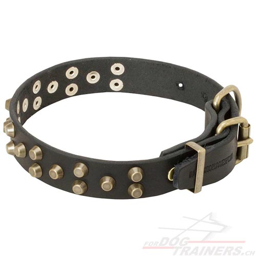Lederhalsband Schweiz