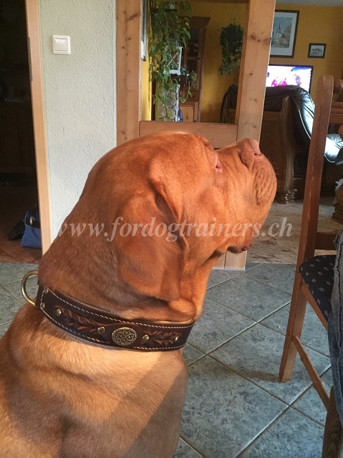 Lederhalsband Nappa fr Bordeauxdogge