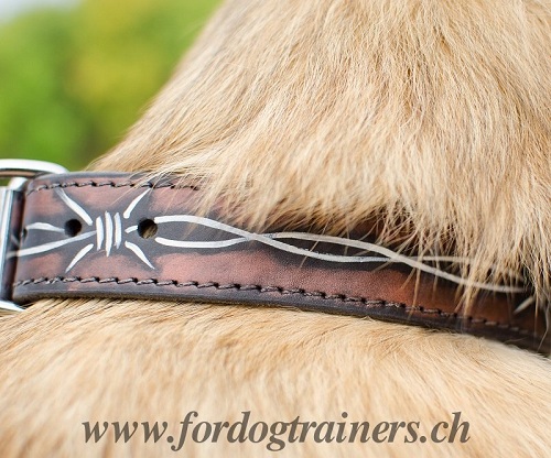 hundehalsband leder tervueren
kaufen