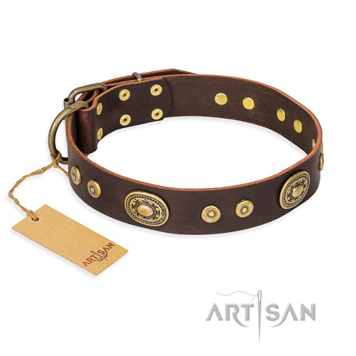 Hundehalsband leder ovale und kreise fdt artisan