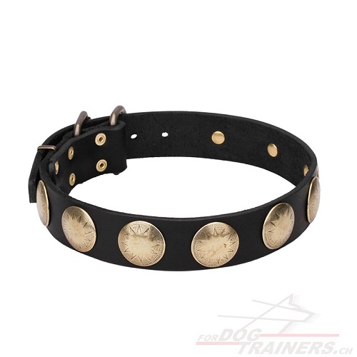 hundehalsband leder fordogtrainers handgemacht
gravierten Messing Kreisen