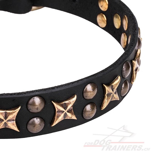 hundehalsband leder
fordogtrainers handgemacht mit bronzeplattierten Sternen