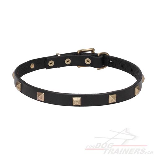 hunde halsband echtes leder heute liefern