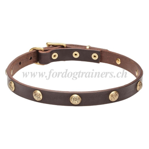 lederhalsband hund exklusiv handgemacht