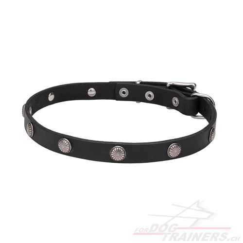 edles halsband leder leichtgewichtig
schweiz