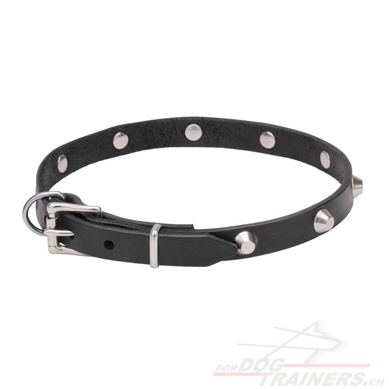 Leder-Hundehalsband Mit AirTag-Fach – Nieten-Optik, Verstellbar, Für Kleine Bis Große Hunde, Blau