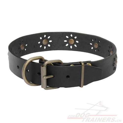 hundehalsband luft messing nieten schweiz