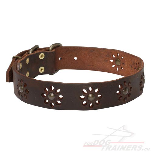 designer hundehalsband leder blumendruck
schweiz