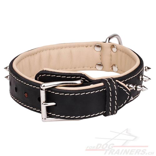 Nappaleder Halsband vernickelte spikes handgemacht