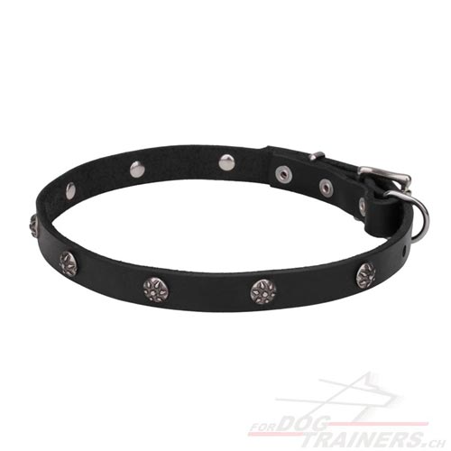 hunde halsband echtes leder gravierte nieten