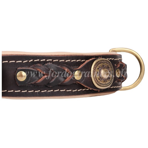 design leder hundehalsband geflochten